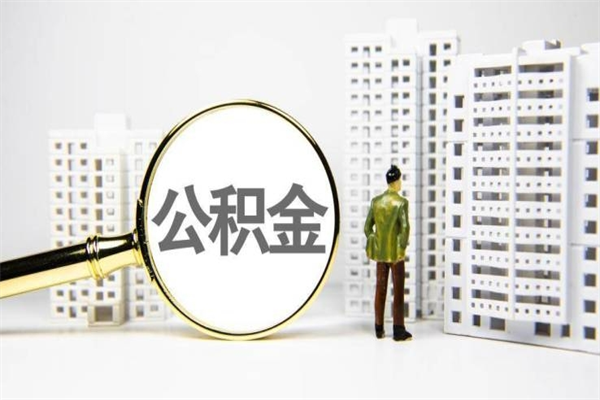 公积金是哪年有的-肇庆公积金代办平台